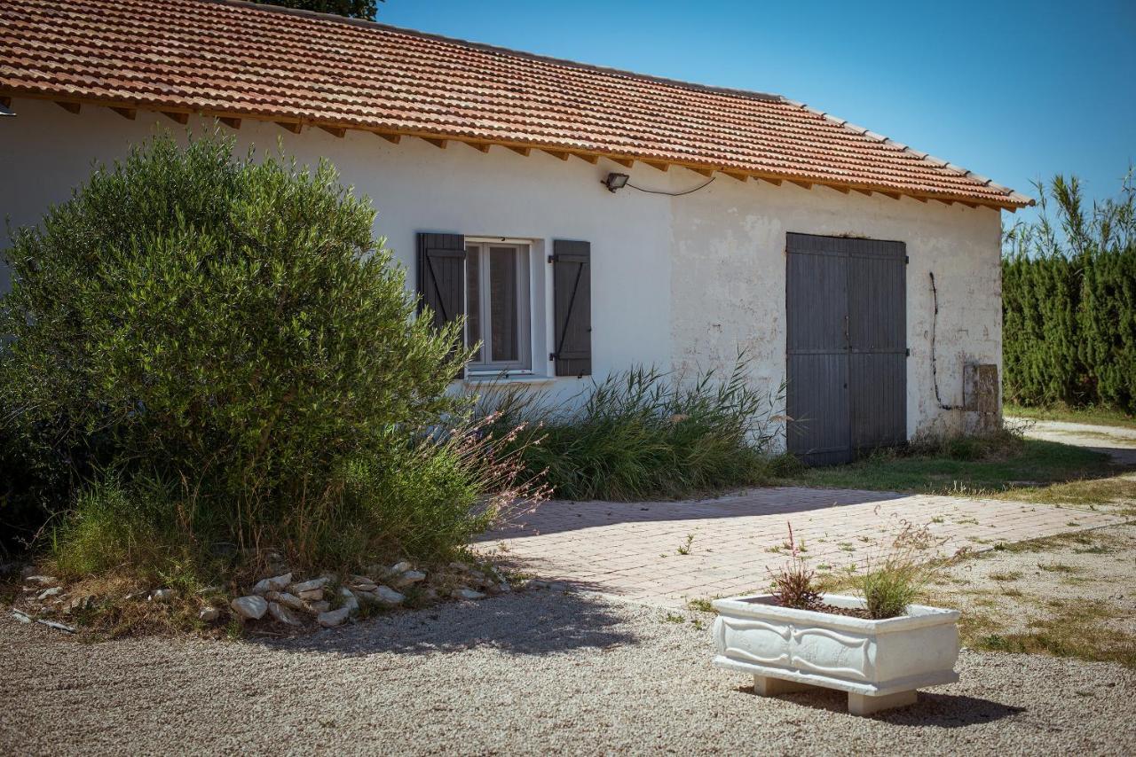 Mas Albert Espelly Saintes-Maries-de-la-Mer Exteriér fotografie